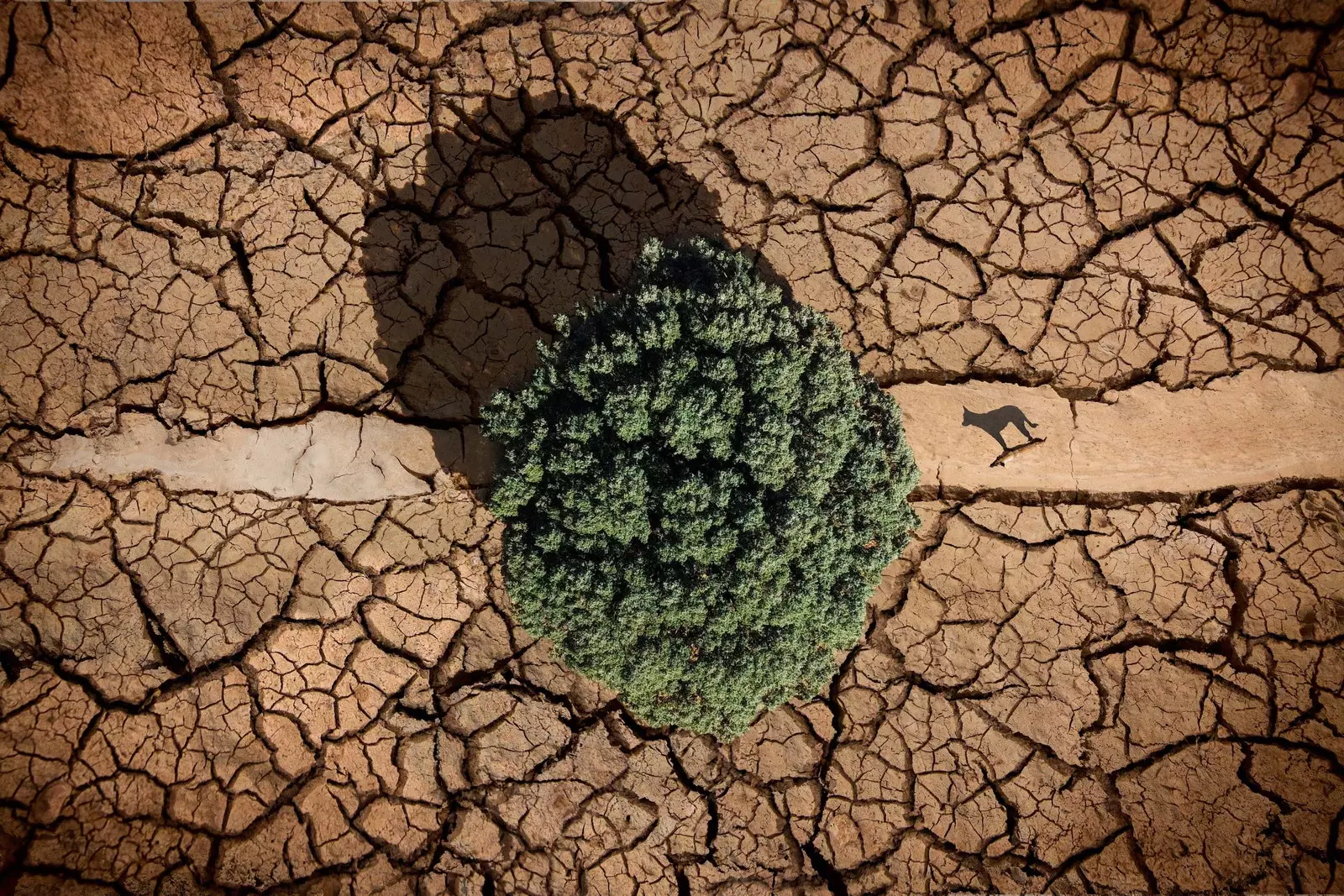 'De droogte' Belinchón