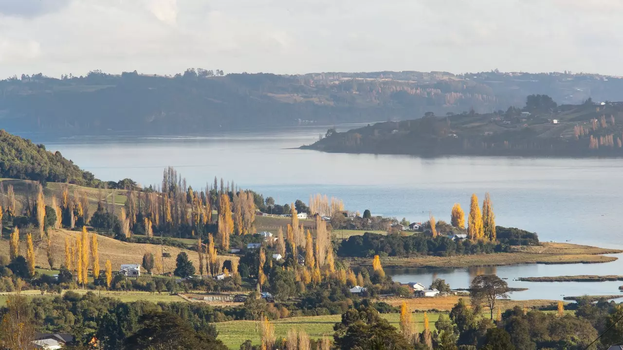 Chiloé، گالیسیا شیلی که توسط ماهی قزل آلا مورد حمله قرار گرفت