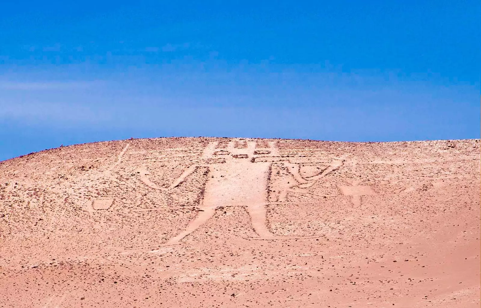 Atacama óriás