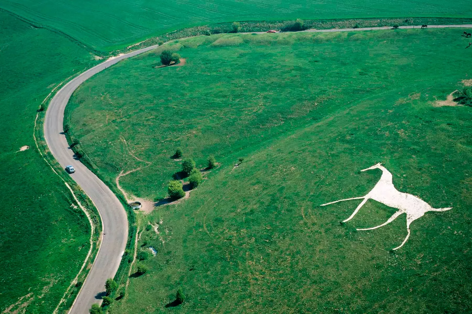 geoglyphs vereinigtes königreich weiße pferde