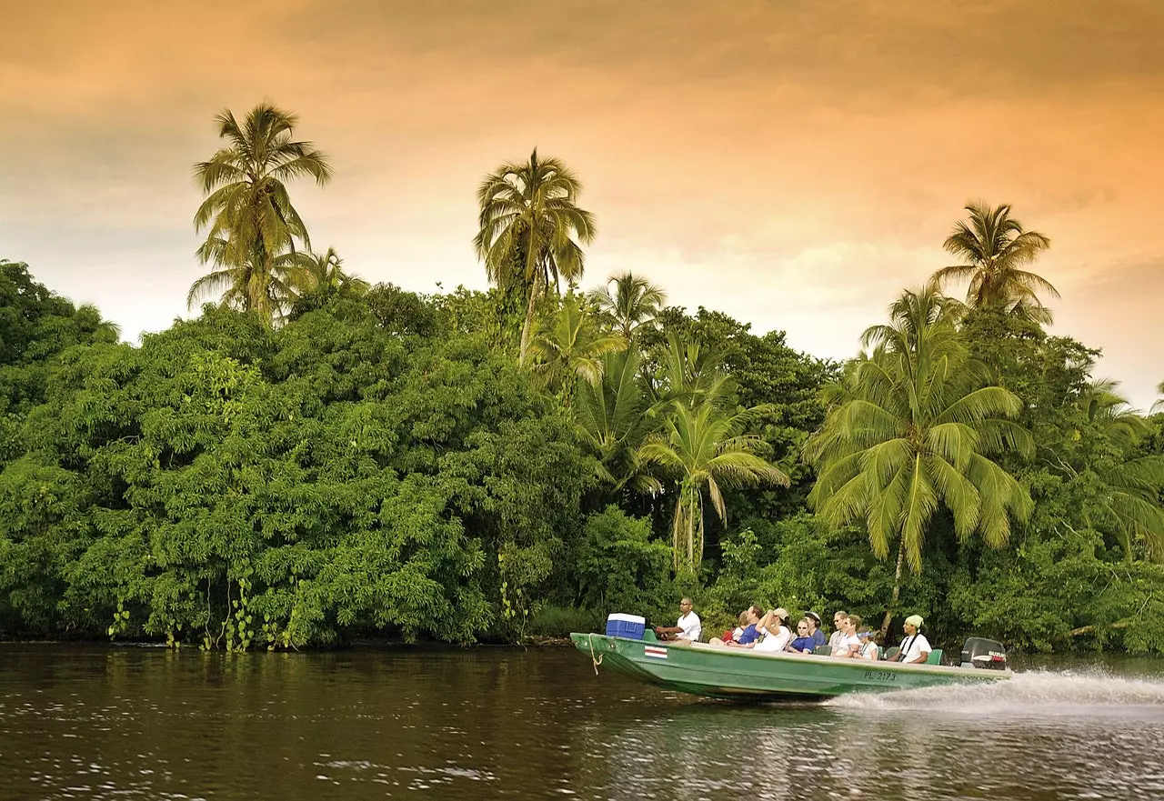 Parcul Național Tortuguero Costa Rica.