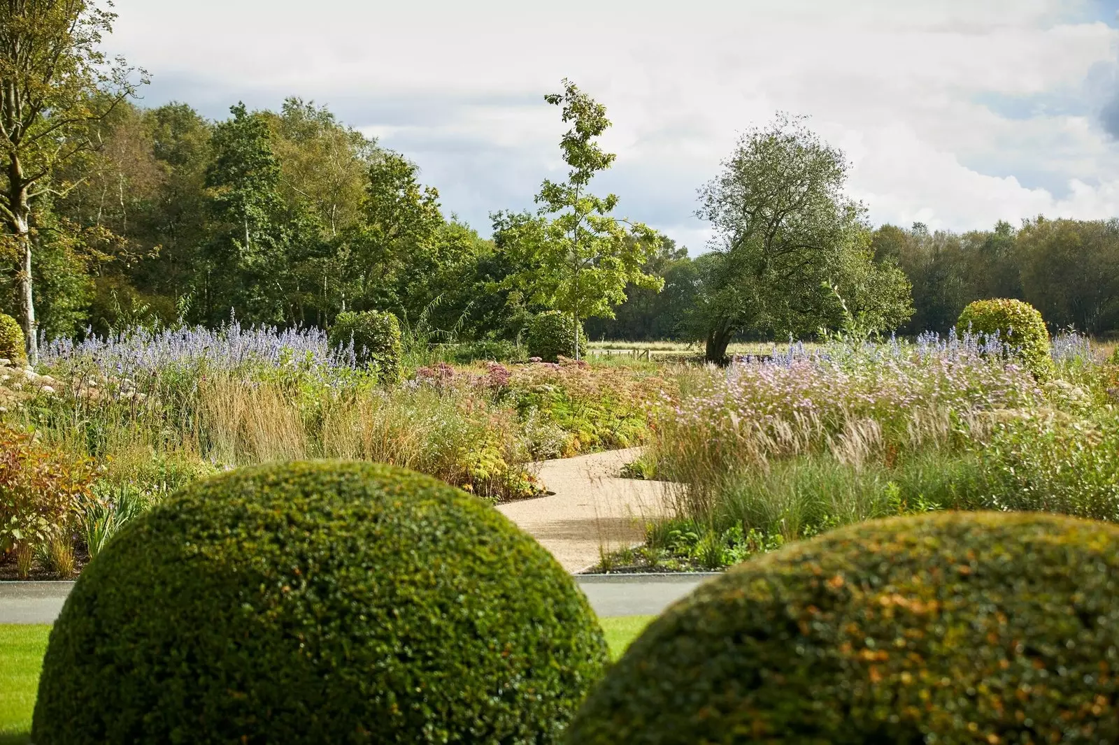 Jardin RHS Bridgewater