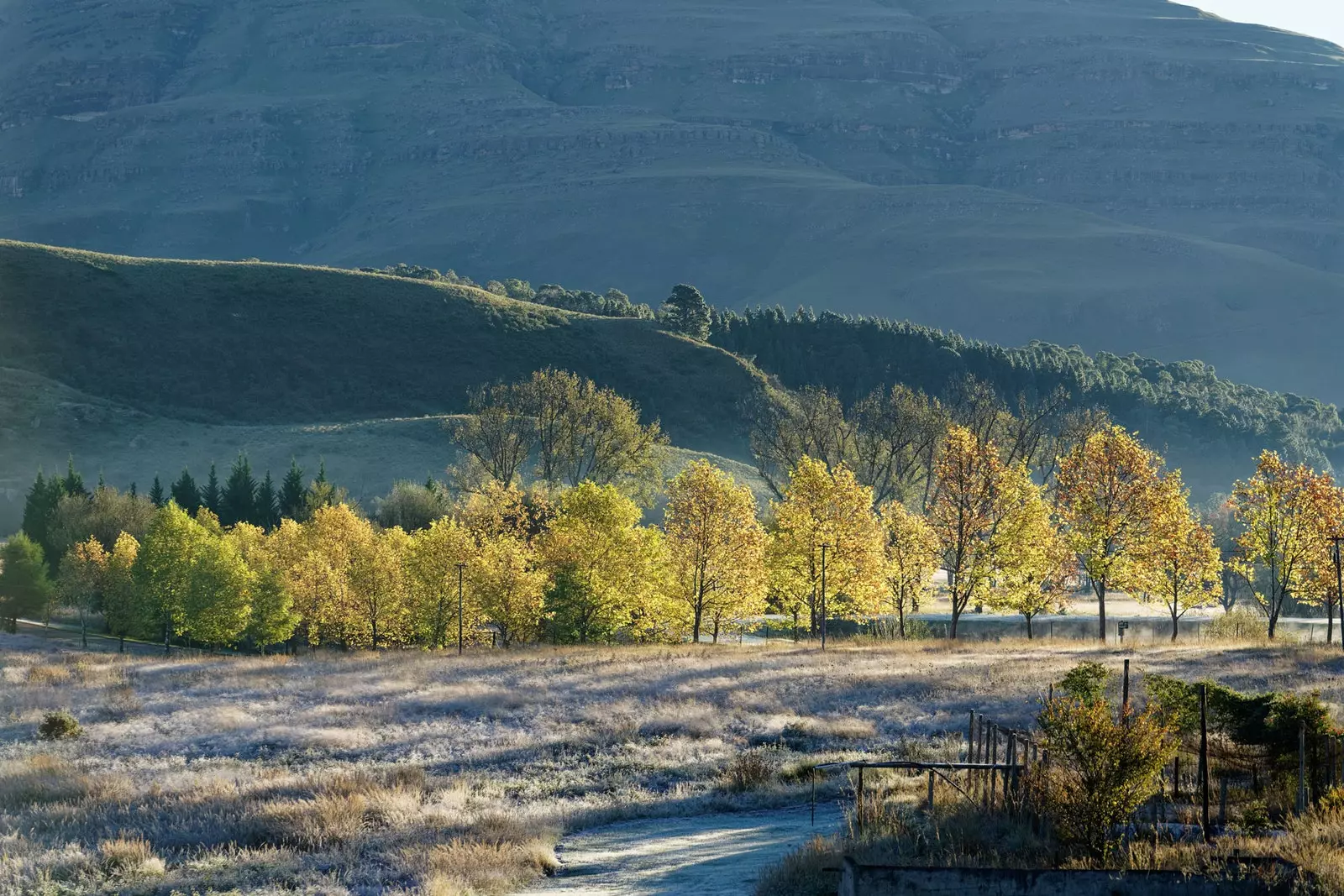 Drakensberg