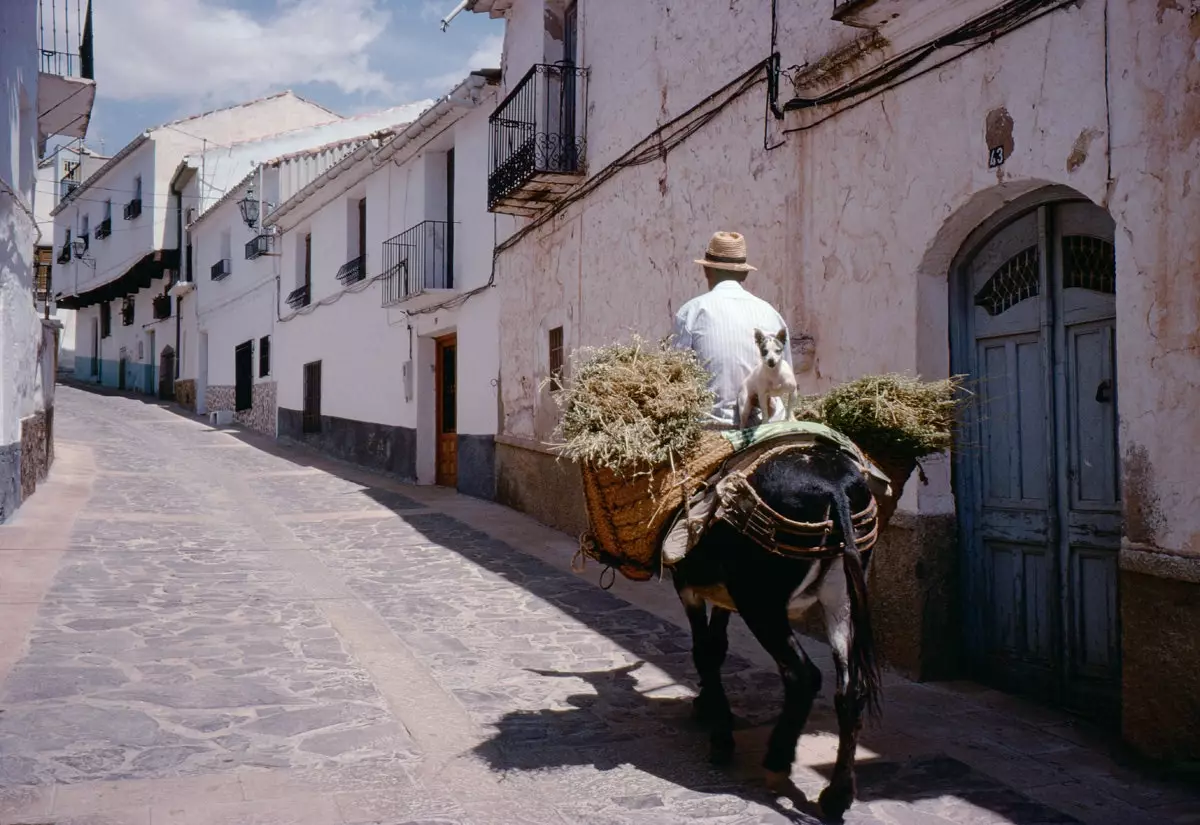 Albacete ilə necə flört etmək olar