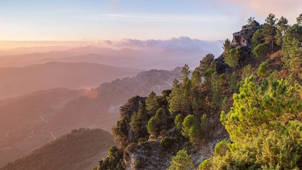 Sierra de Grazalema- ရာသီဥတုပြောင်းလဲမှုကို ဆန့်ကျင်သည့် စပိန်ထင်းရှူးပင်များနှင့် ကန်များ