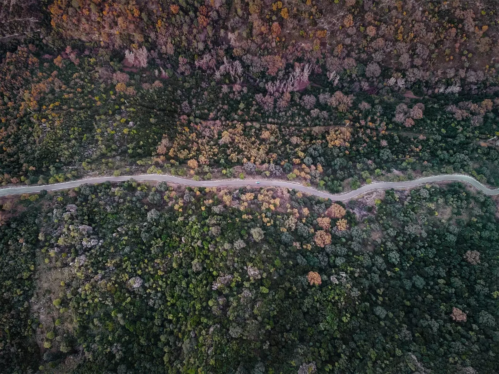 Benamahoma da una vista a volo d'uccello