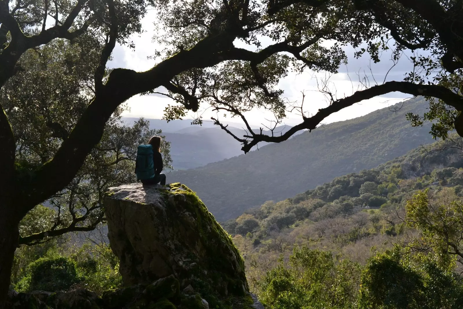 Ruta El Pinsapar