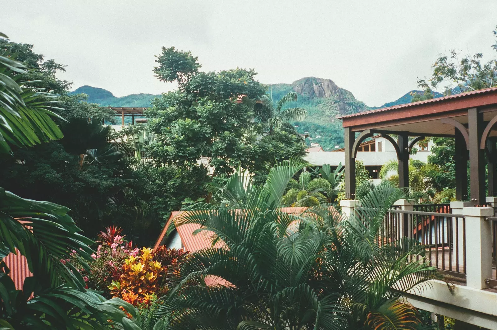 Marina Pulau Eden