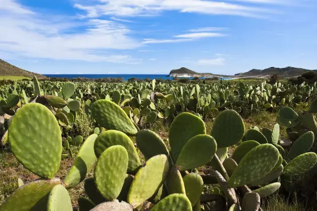 Cabo de Gata naturpark