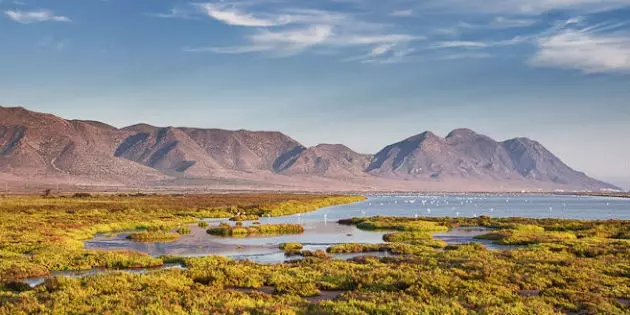 Cabo de Gata Salt Flats