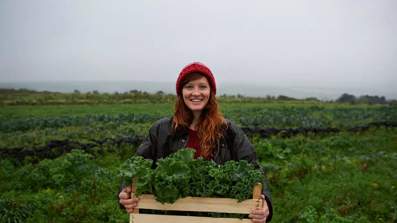 CrowdFarming: apadrina un arbre i participa a la nova revolució agrícola