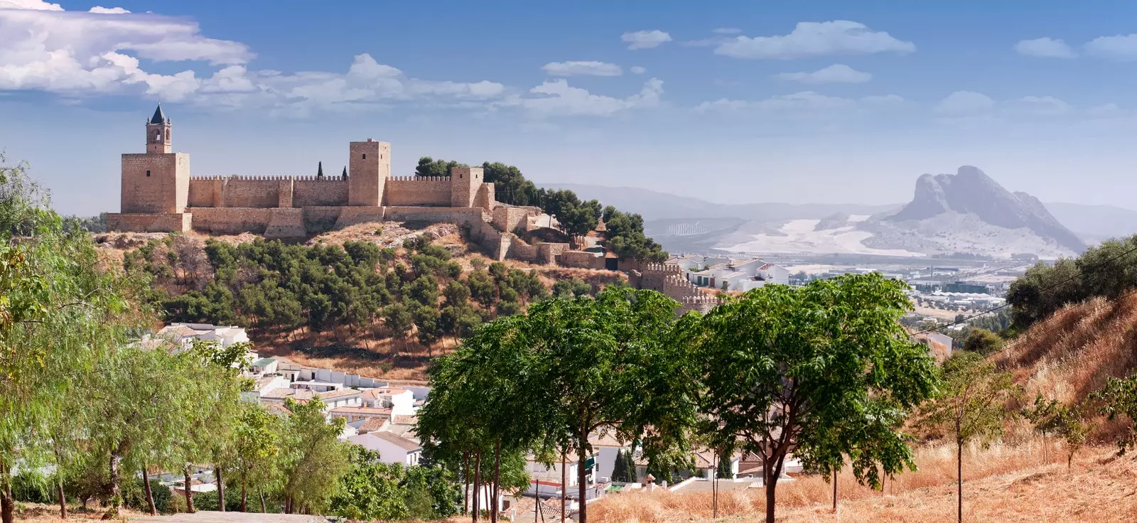 Antequera უკან დახევა, რომლის გაკეთებაც გსურთ