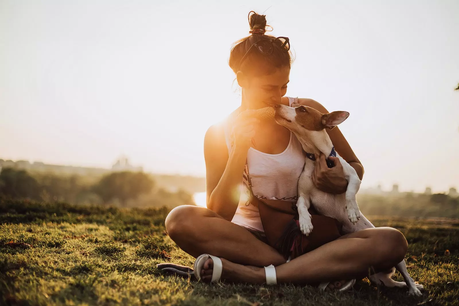 Radiographie du voyageur avec chien