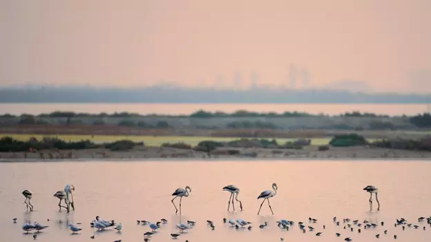 חמש חוויות מהנות באברו