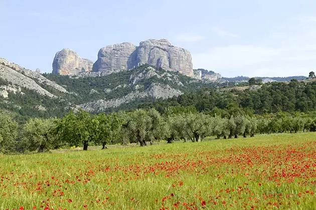 Parco Naturale dei Porti