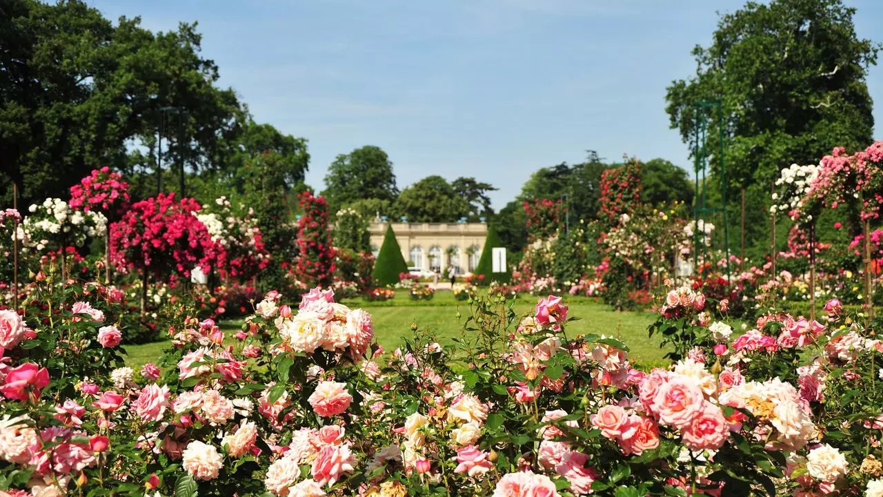 Seis (não óbvios) jardins parisienses onde você pode relaxar no final do verão