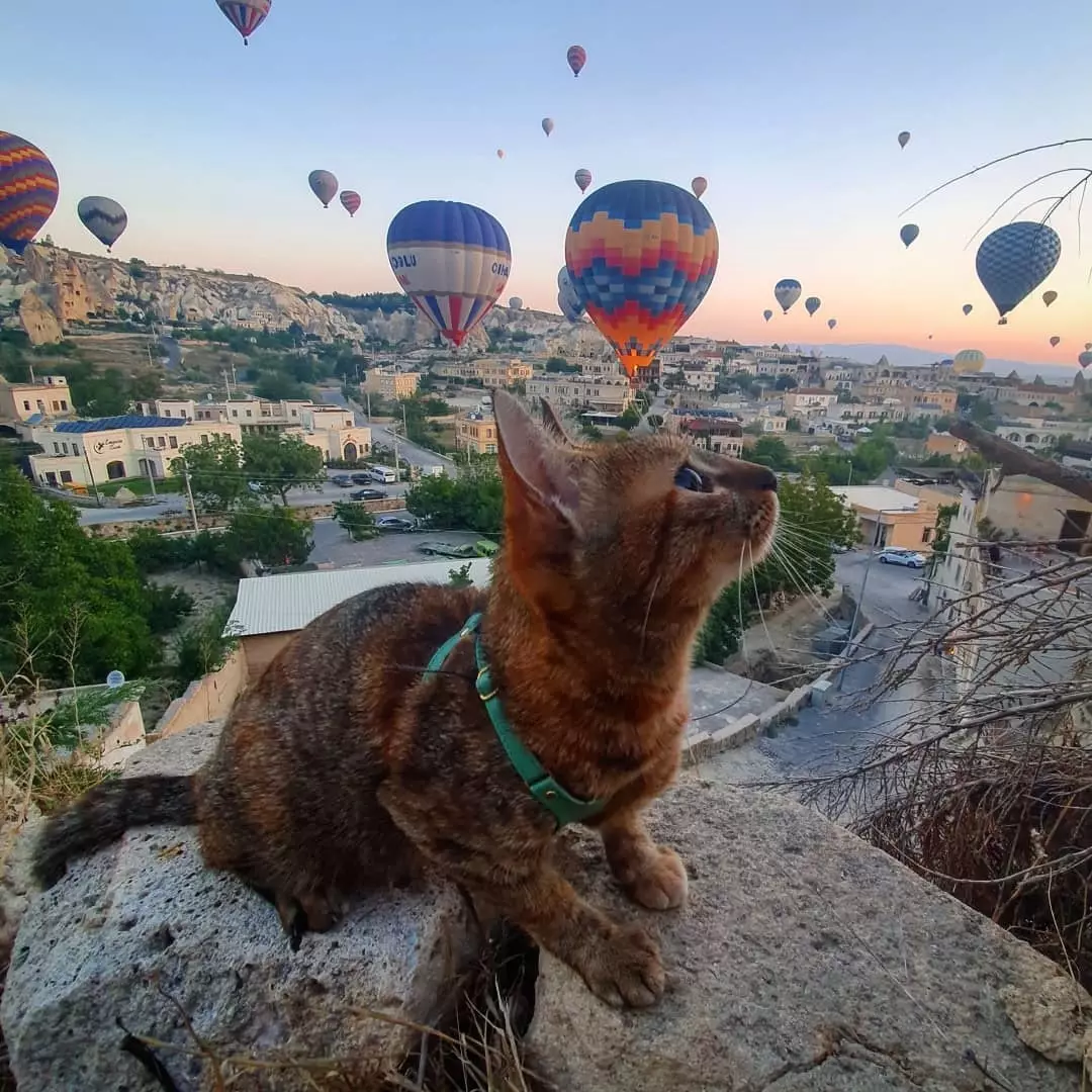 Nala olhando para os balões de ar quente na Capadócia.