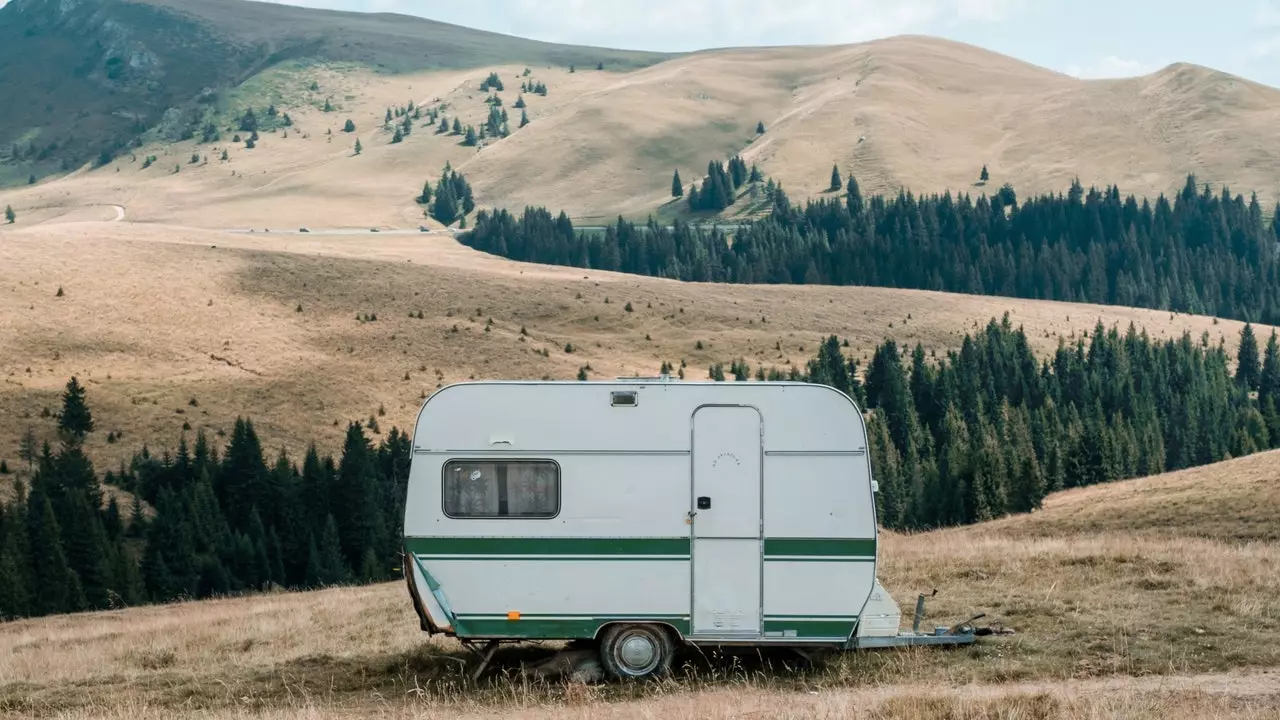 Mẹo để đi du lịch cùng chó của bạn trong một đoàn lữ hành (motorhome) vào mùa xuân này