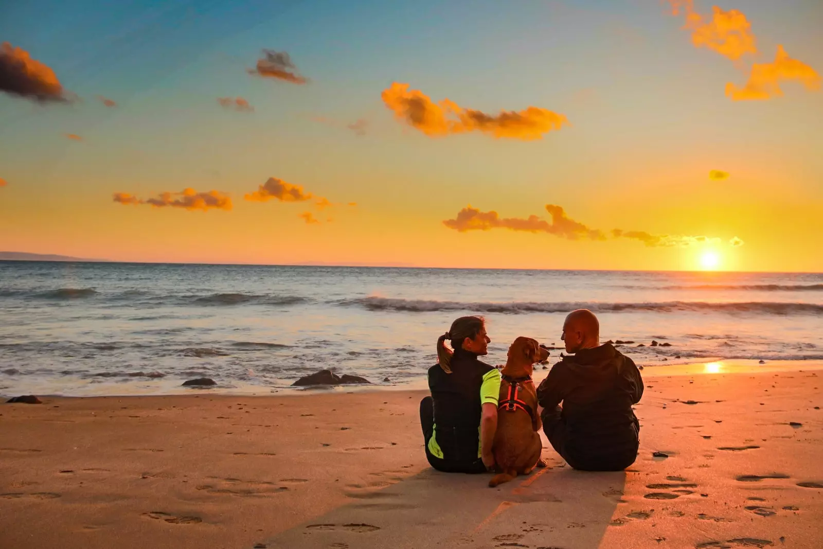 Tarifa com cães é um destino perfeito.