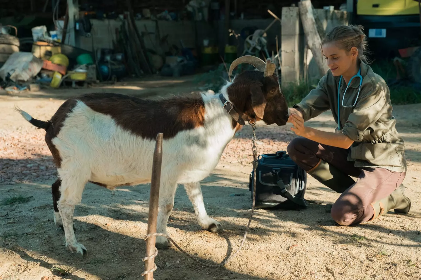 E Veterinär an der Bourgogne