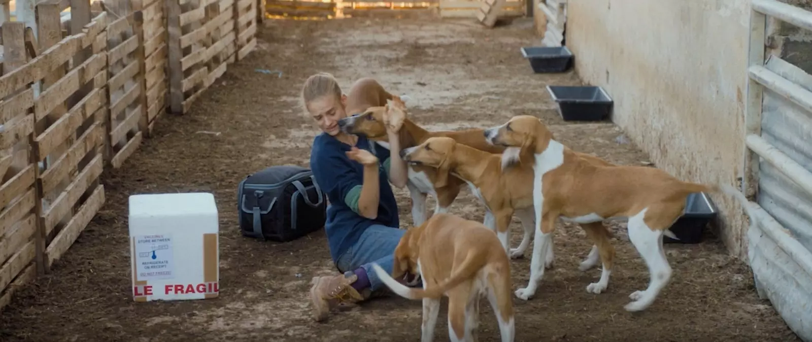 En veterinær i Burgund