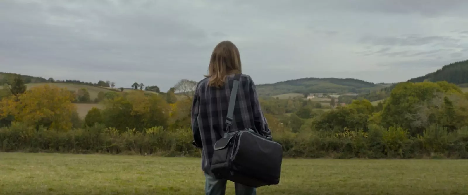 A veterinarian in Burgundy