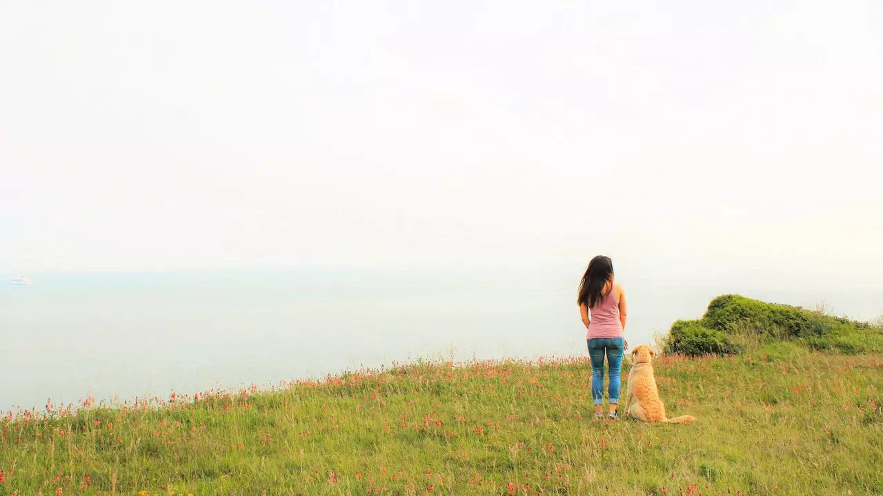 Pam The Van atau cara meninggalkan segalanya dan berkeliling dunia dengan anjing Anda di dalam van