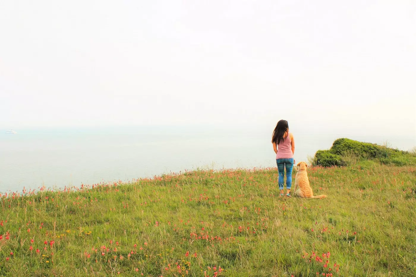 Pam an Odie op de Cliffs vun Dover