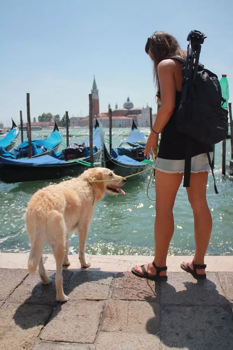 Pam och Odie i Venedig