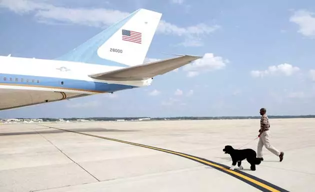 Il cane del presidente Obama Bo di certo non ha problemi quando viaggia