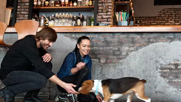 Lugares onde seu cão será outro cliente