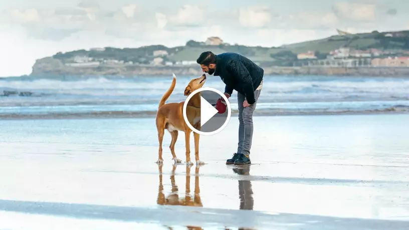 39 spiagge in giro per la Spagna per portare il tuo cane