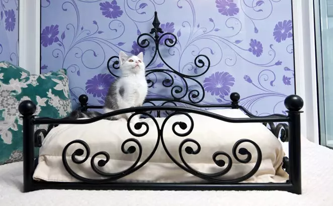 Ξενοδοχείο Longcroft Luxury Cat