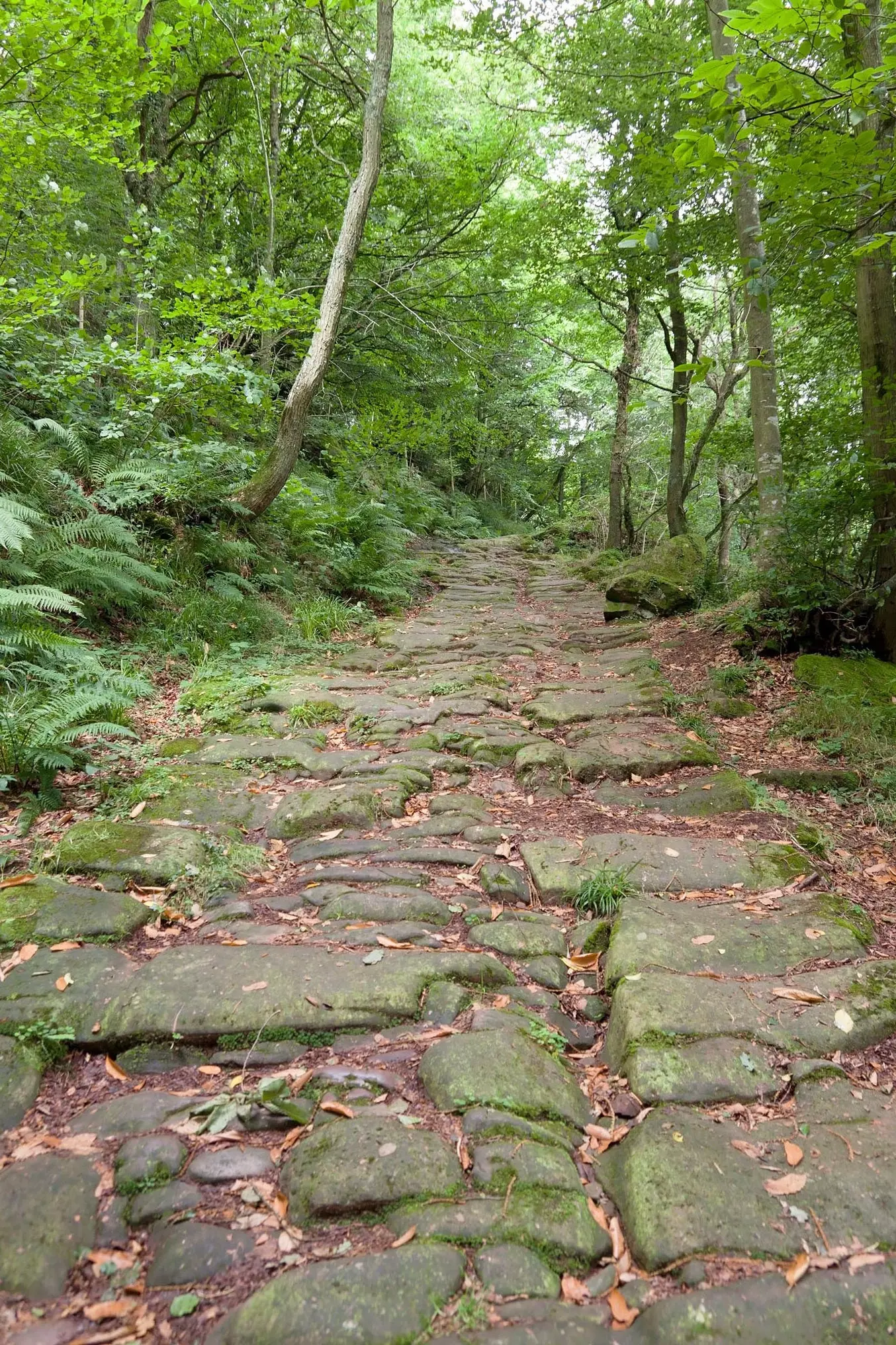 Causeway of the Blendios