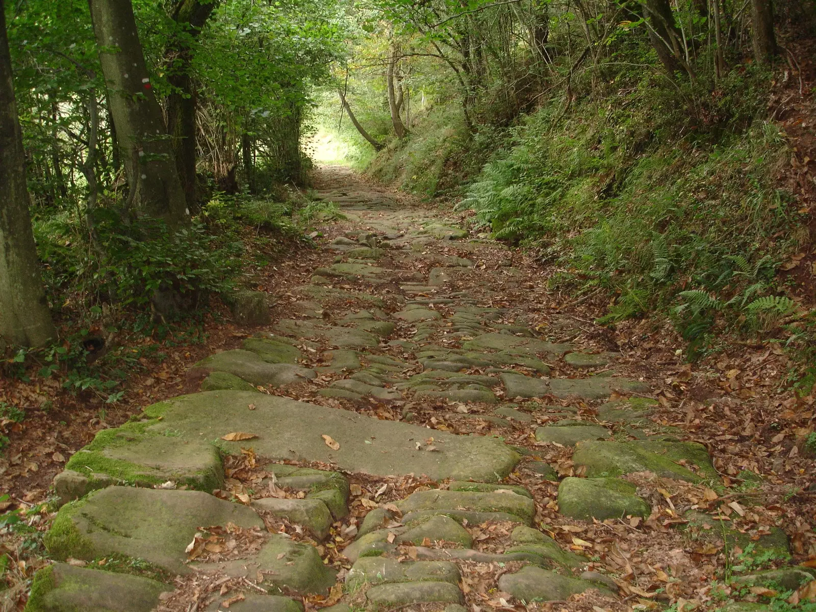 Causeway vun de Blendios