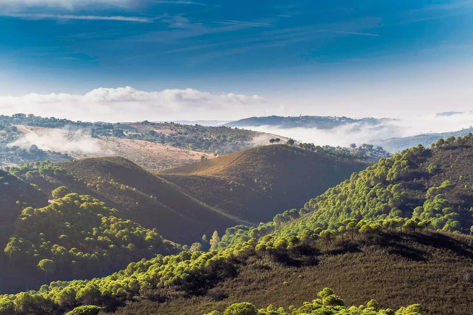 Sierra de Huelva Andaluzia