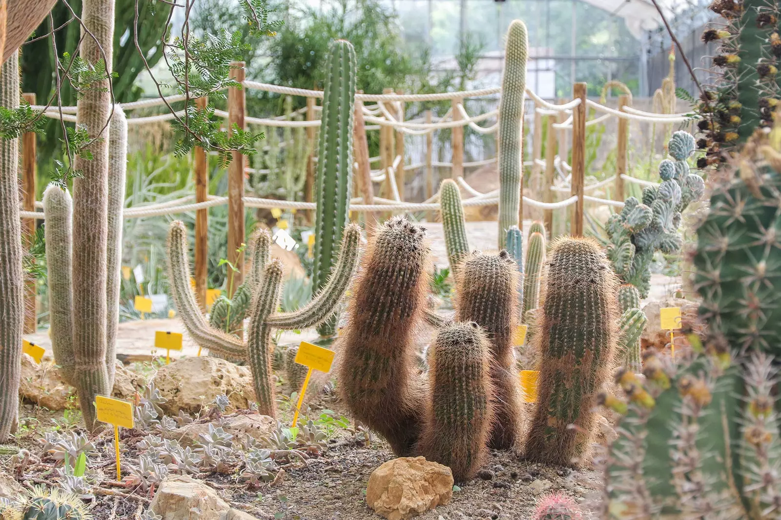 Flóttastaður í gegnum þorpin Sierra de las Nieves