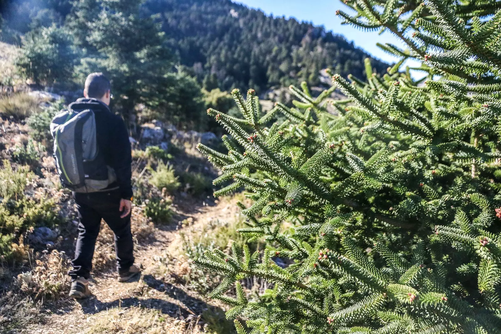 Flóttastaður í gegnum þorpin Sierra de las Nieves