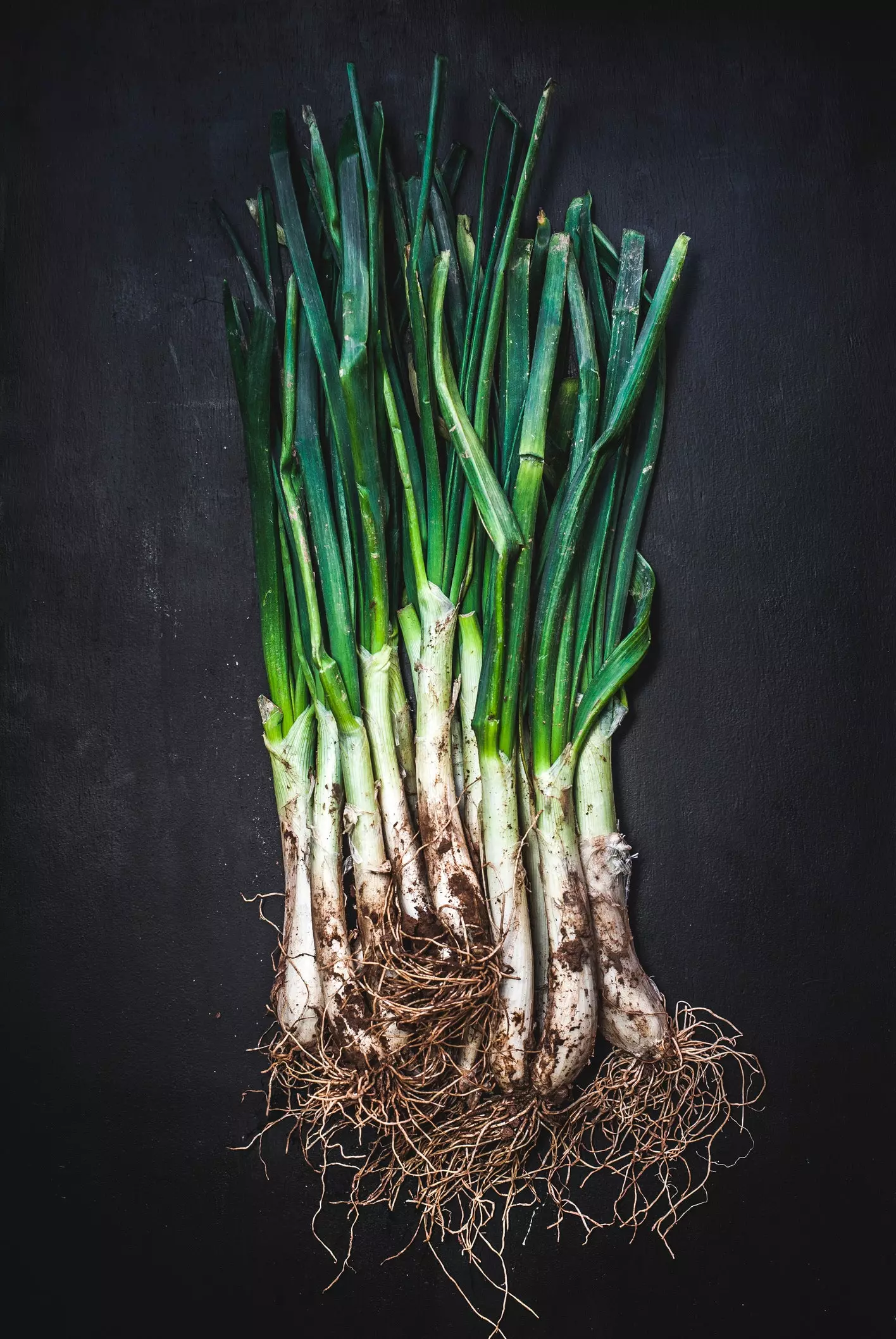 calçot