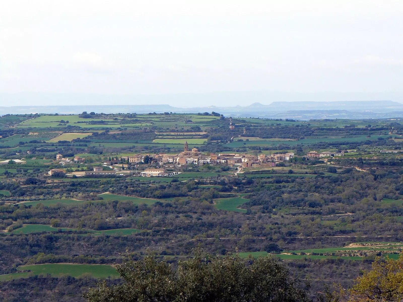 Ադաուեսկա