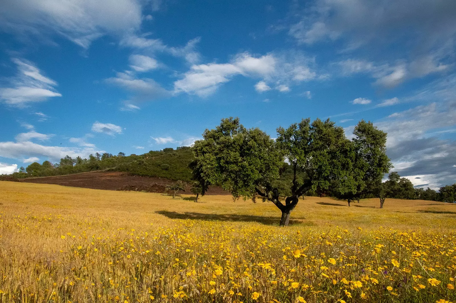 La Siberia Badajoz Extremadura biosfærereservat