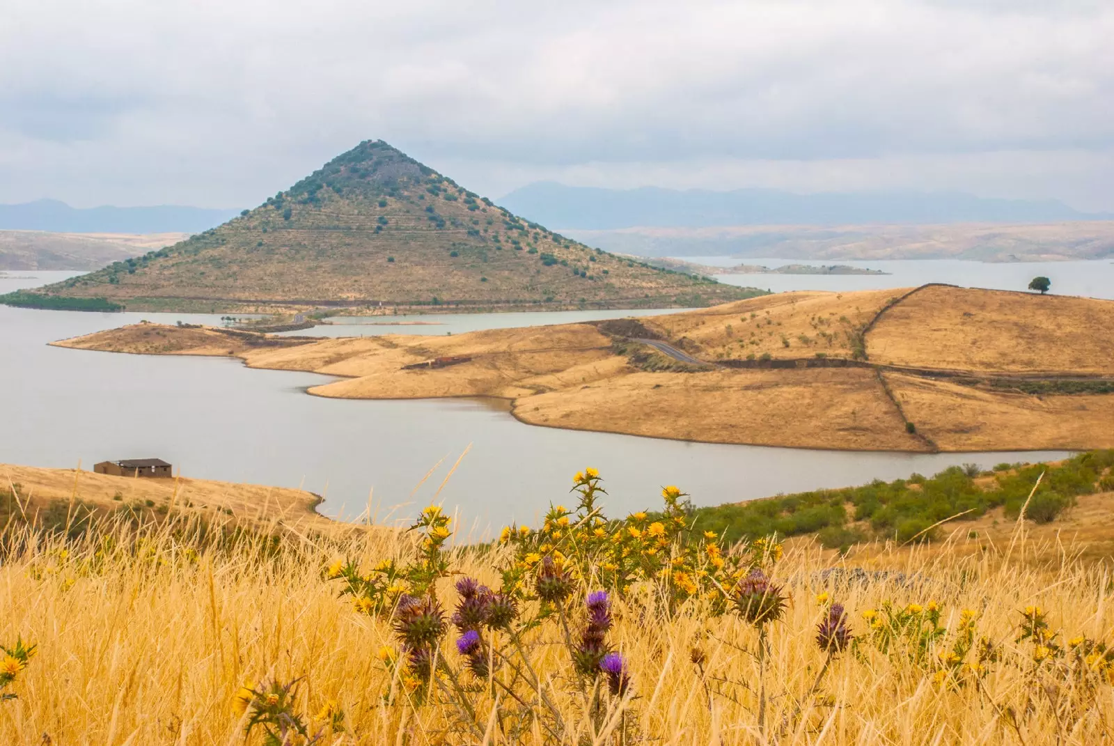 سیبری شدید