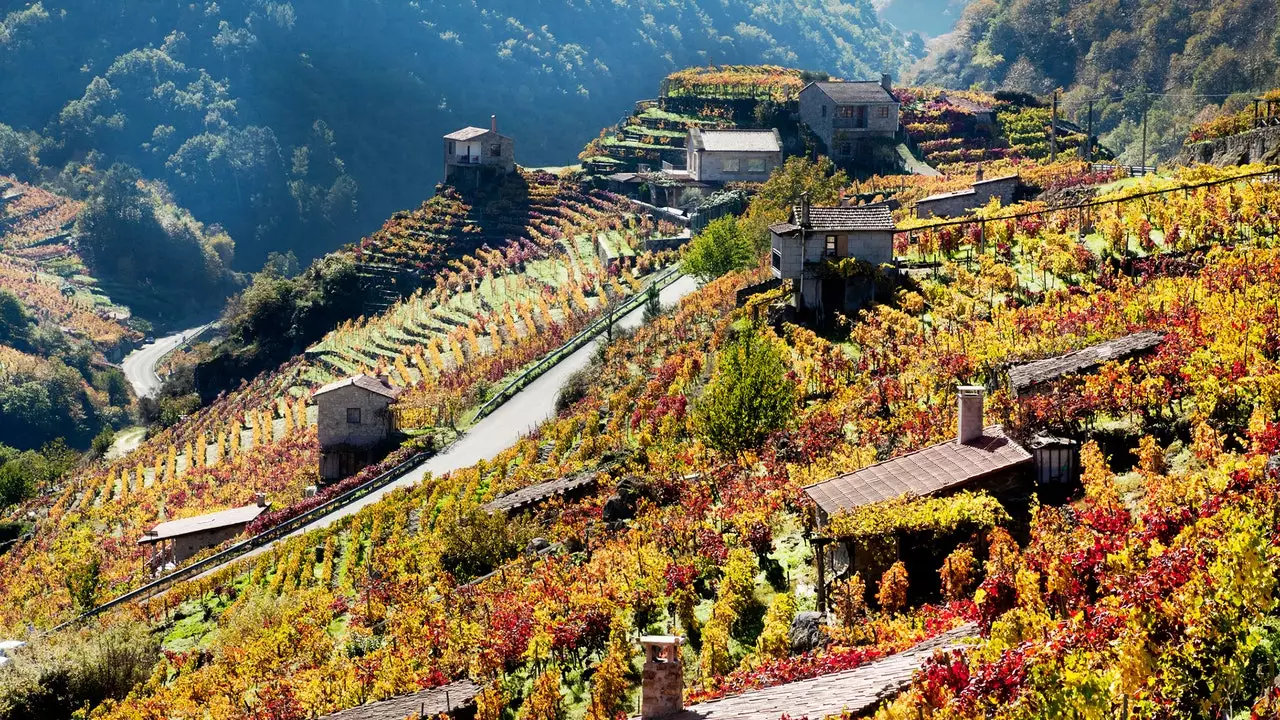 Route à travers l'intérieur impressionnant de la Galice