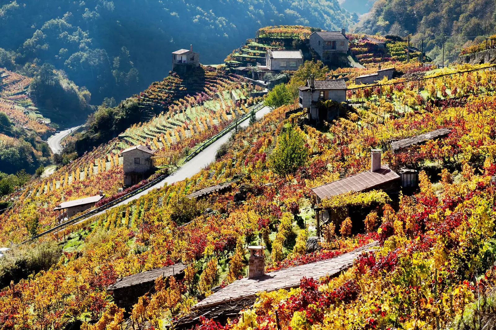 Ribeira Sacra