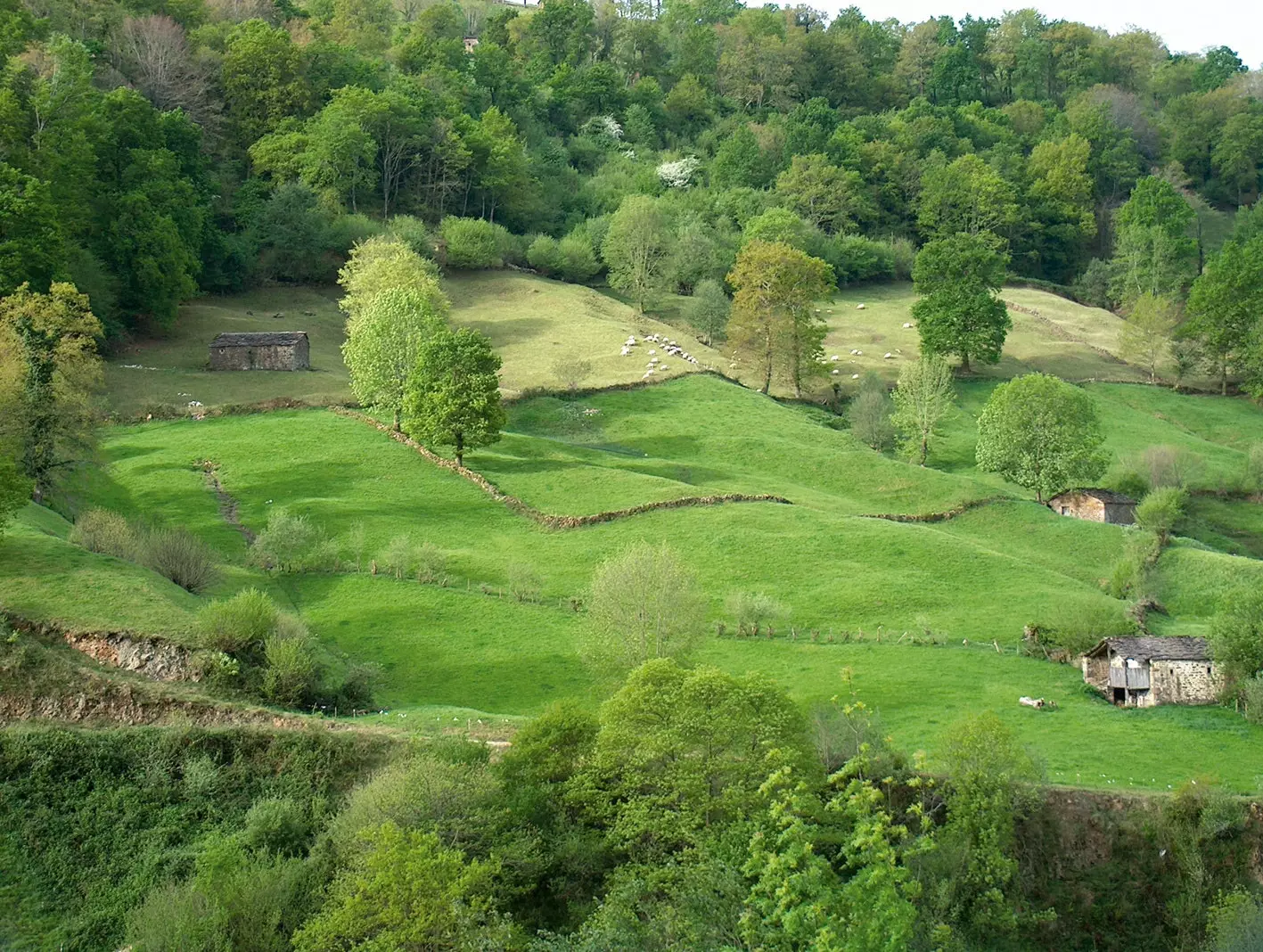 Pisueña in the Pasiegos Valleys