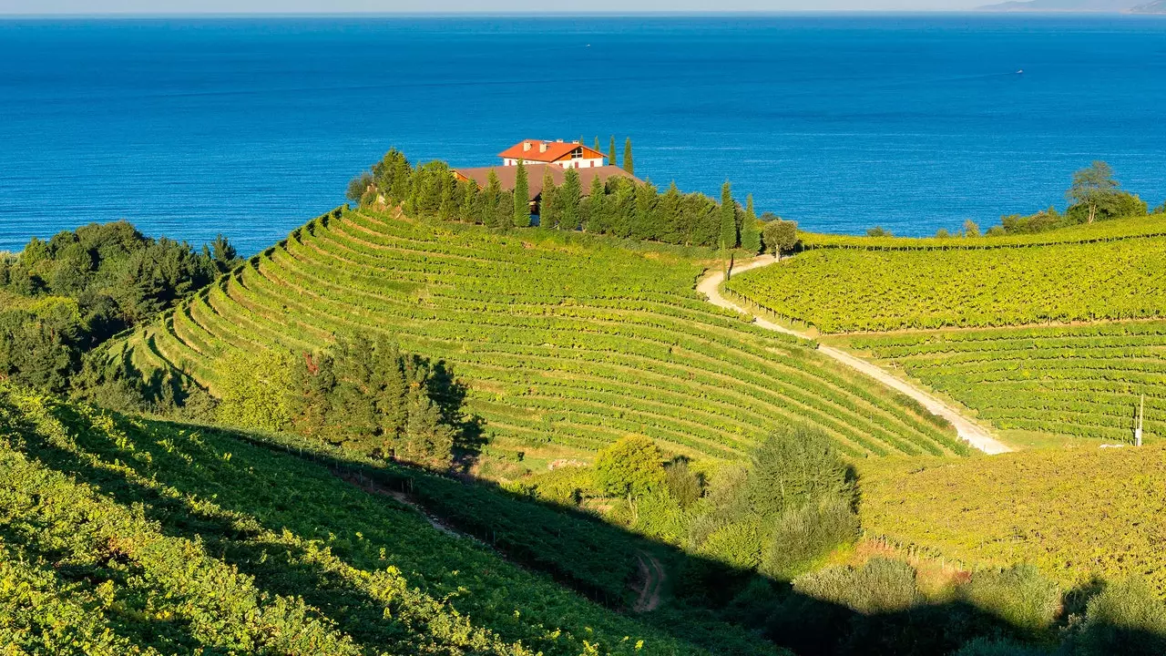 Culture, art and tradition among vineyards: we enter the world of txakoli