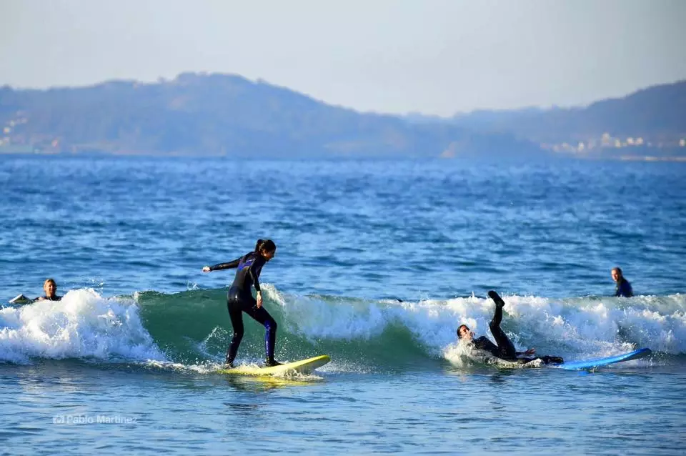 Surf konserva zavodi