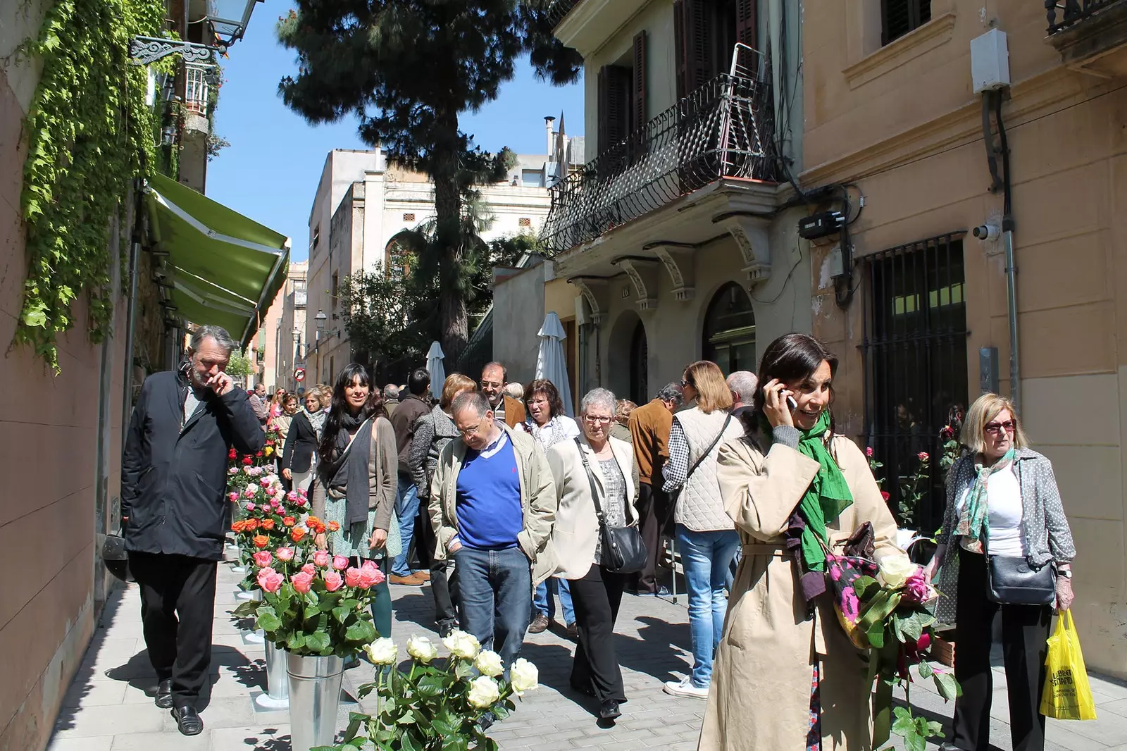 Exposició de roses de Flora Miserachs