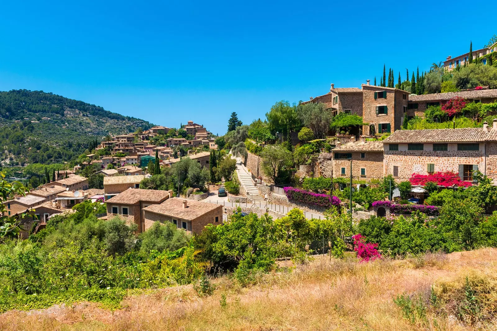 Deia l'Olimpo di Robert Graves