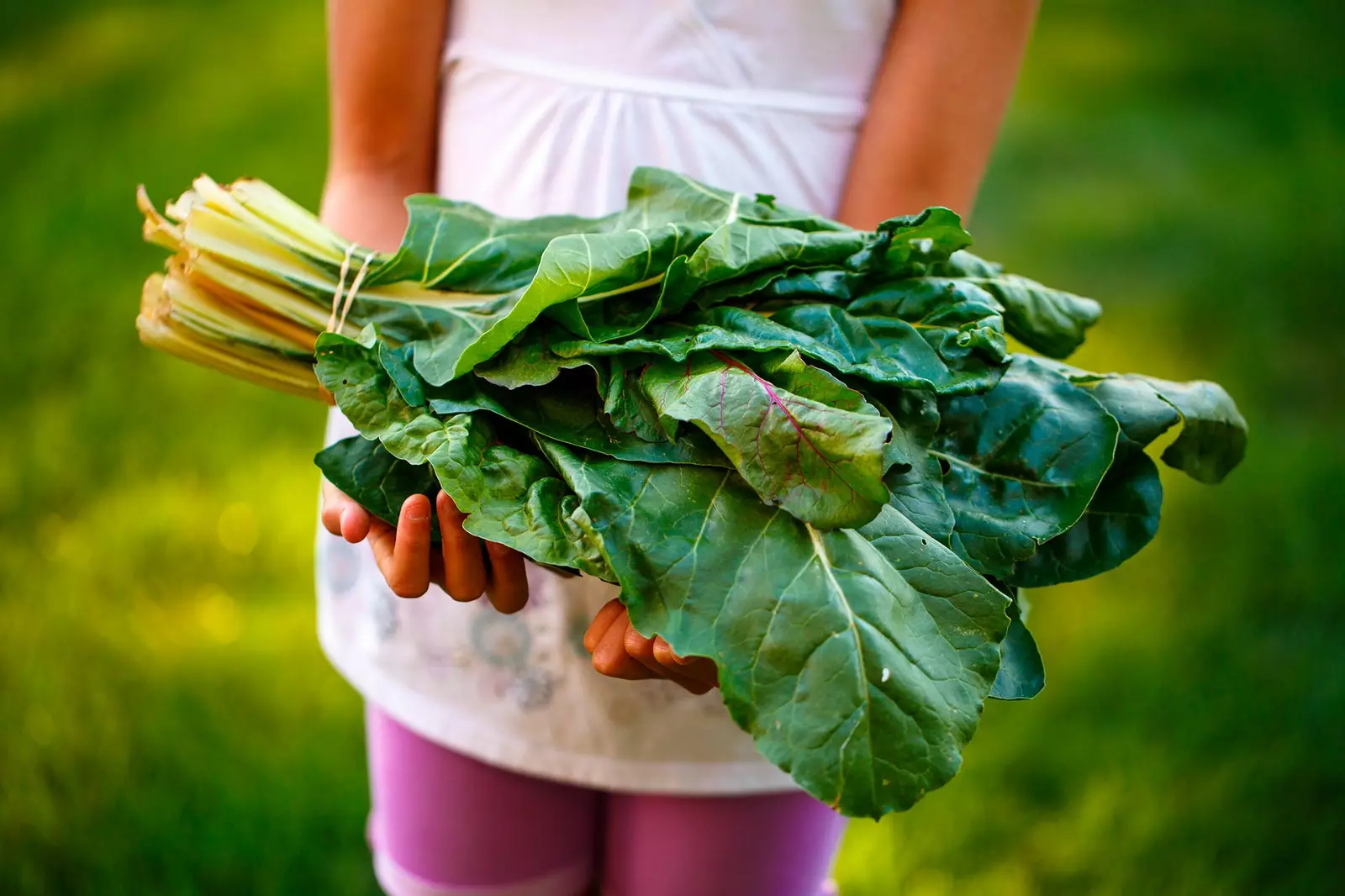 Nothing like some fresh vegetables